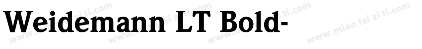Weidemann LT Bold字体转换